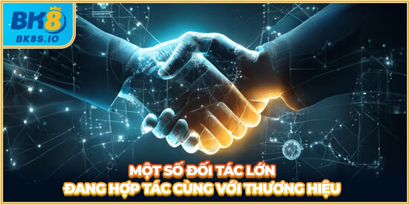 Một số đối tác lớn đang hợp tác cùng với thương hiệu